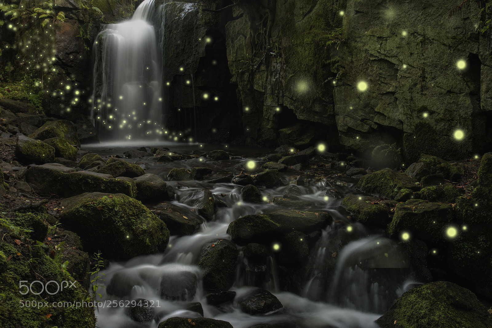 Nikon D800 sample photo. Beautiful fantasy image of photography