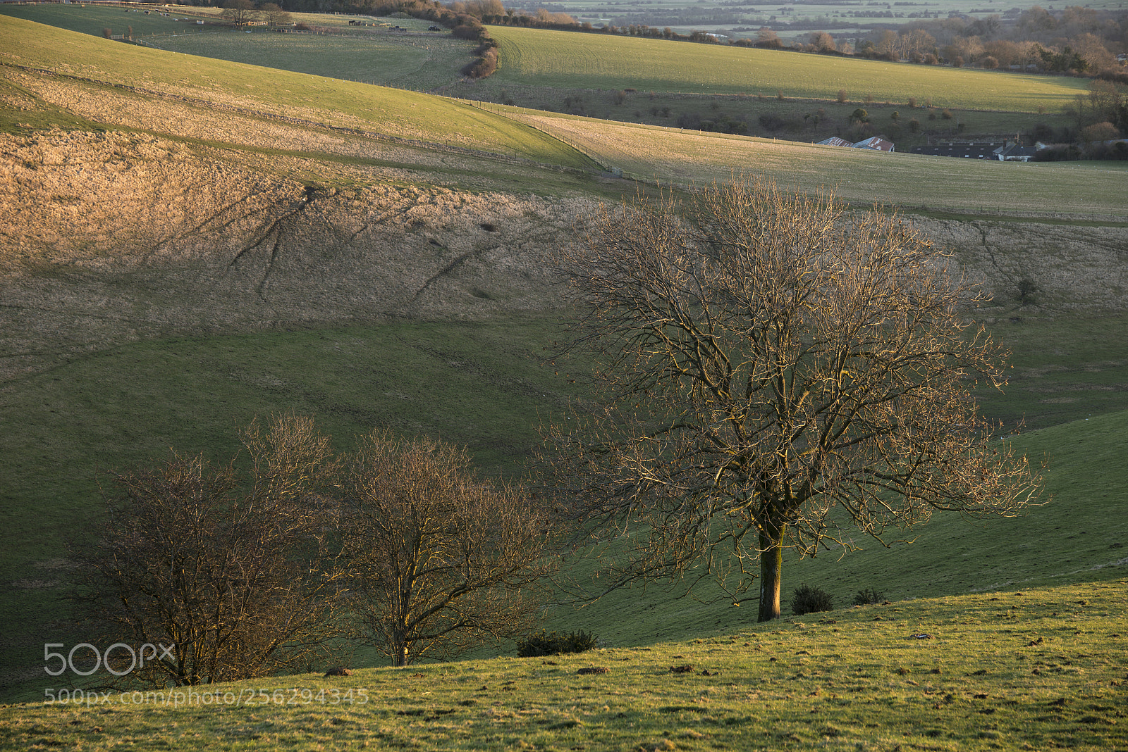 Nikon D800 sample photo. Stunning vibrant sunrise landscape photography