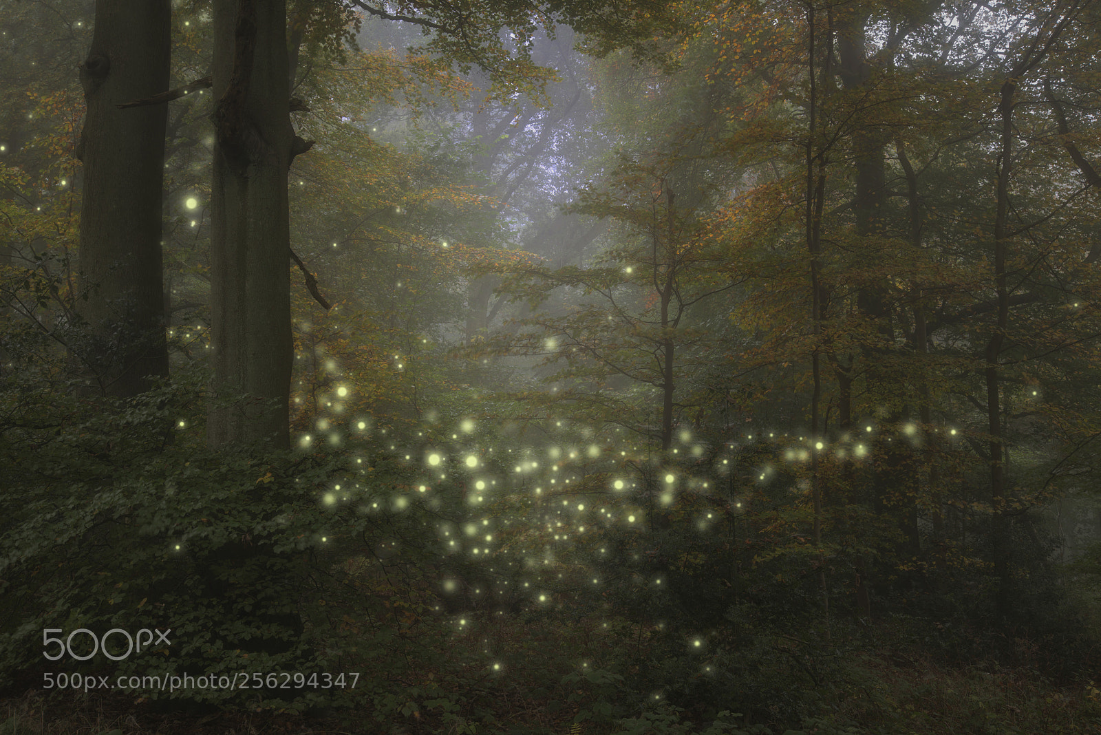 Nikon D800 sample photo. Stunning fantasy style landscape photography