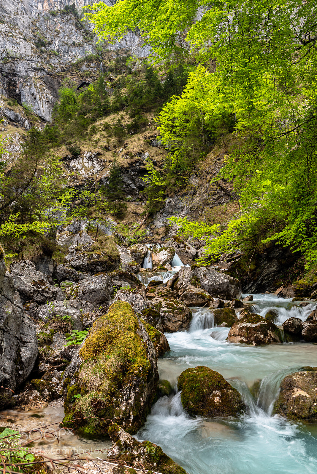 Nikon D810 sample photo. Hell valley (höllental) photography