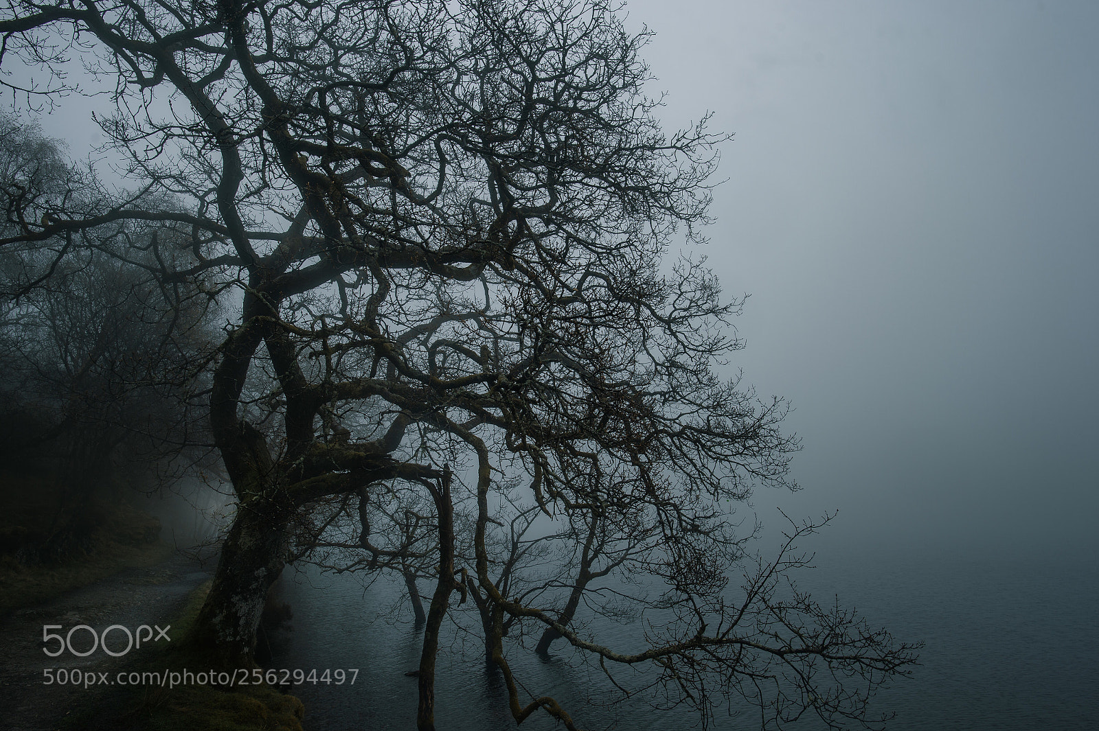 Nikon Df sample photo. Rainy morning by the photography