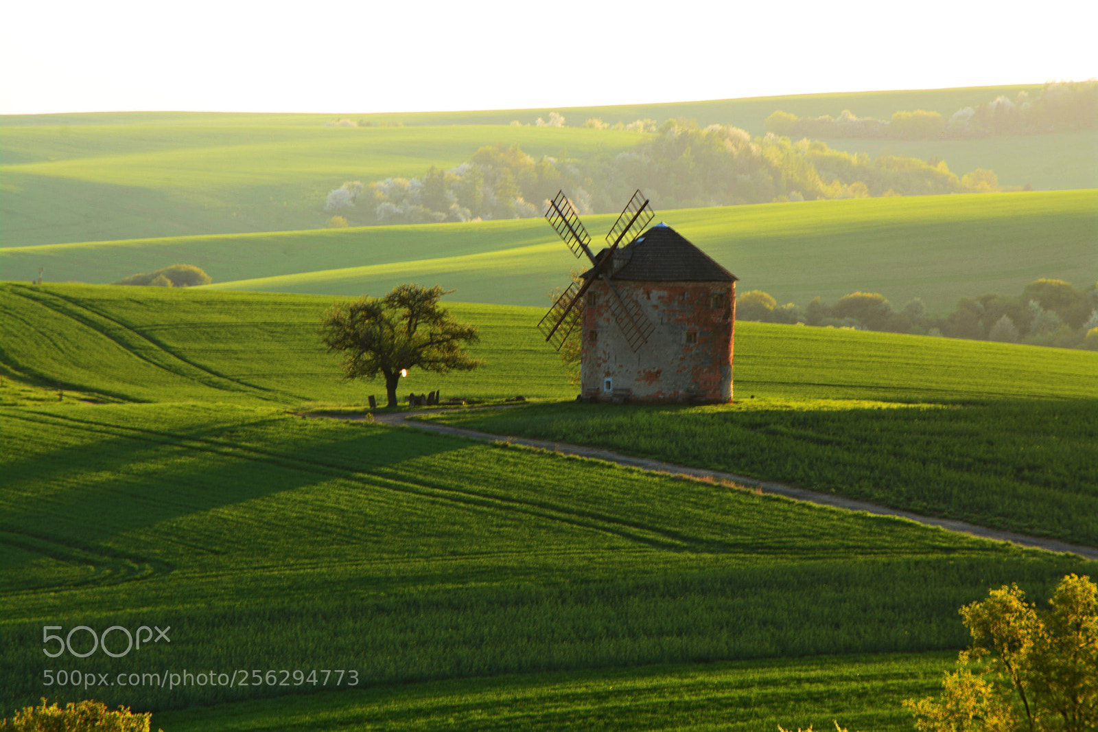 Nikon D7100 sample photo. Windmill photography