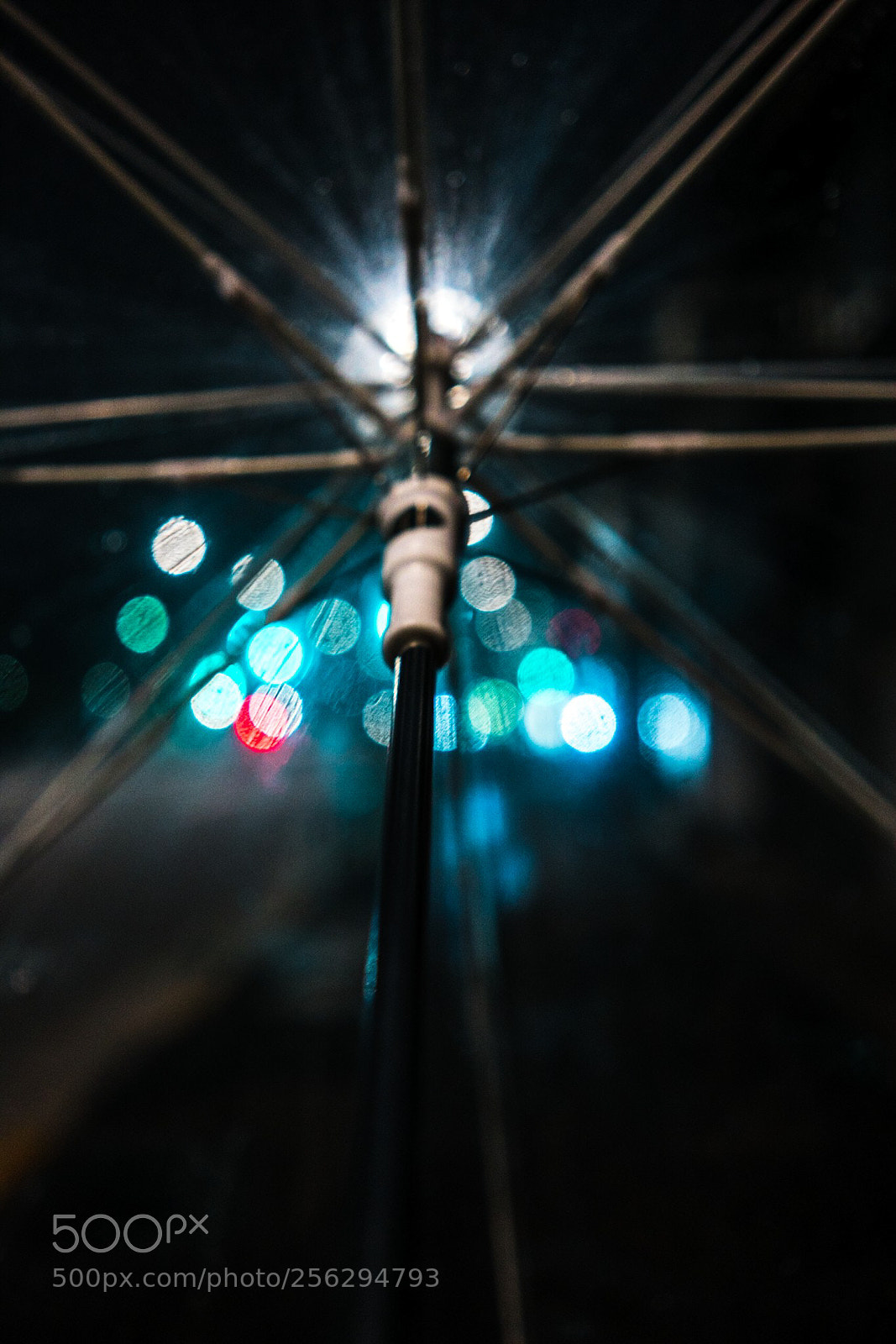 Sony a7R II sample photo. Bokehwhoring photography