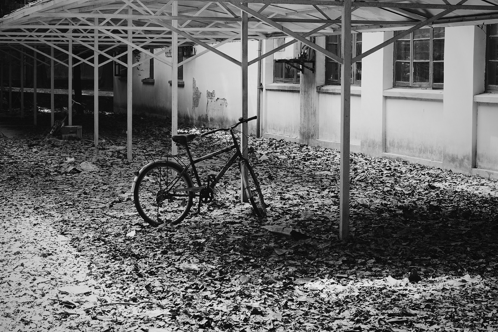 Nikon D700 + Nikon AF Nikkor 50mm F1.8D sample photo. Black and white photography