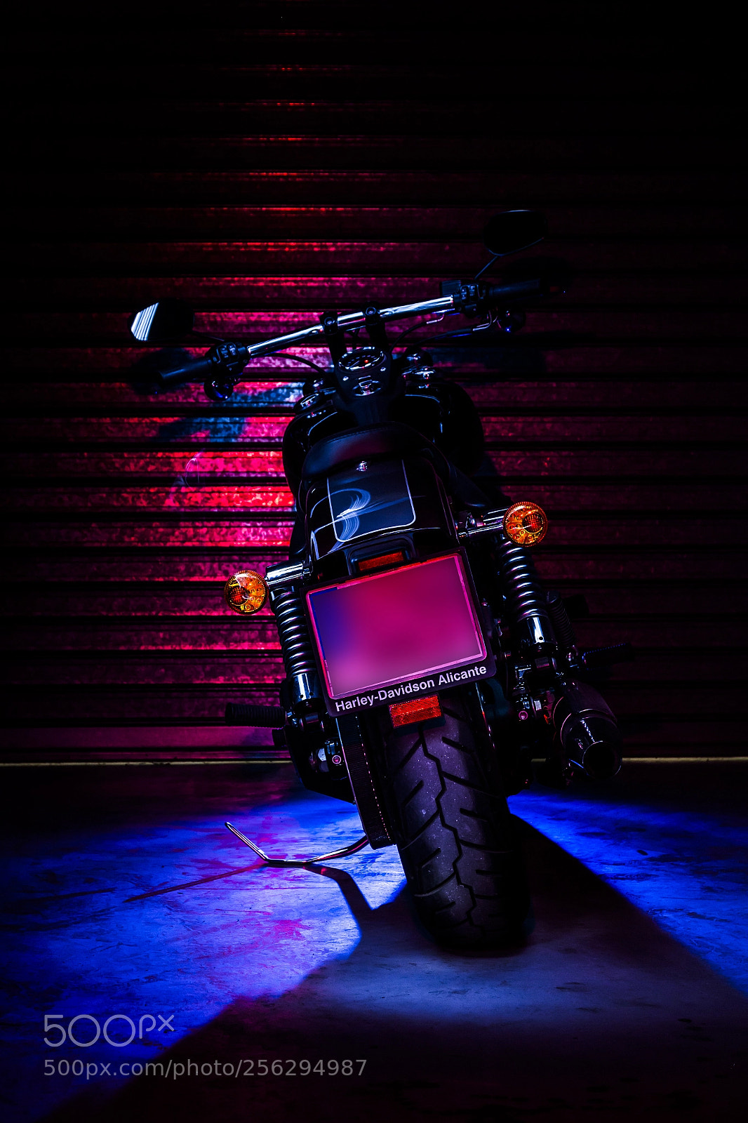Canon EOS 70D sample photo. Harley dyna street bob 103 #8 photography