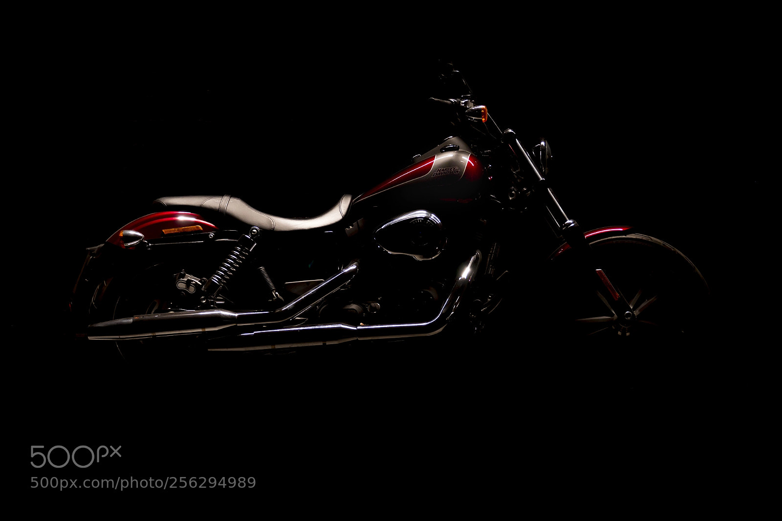 Canon EOS 70D sample photo. Harley dyna street bob 103 #9 photography