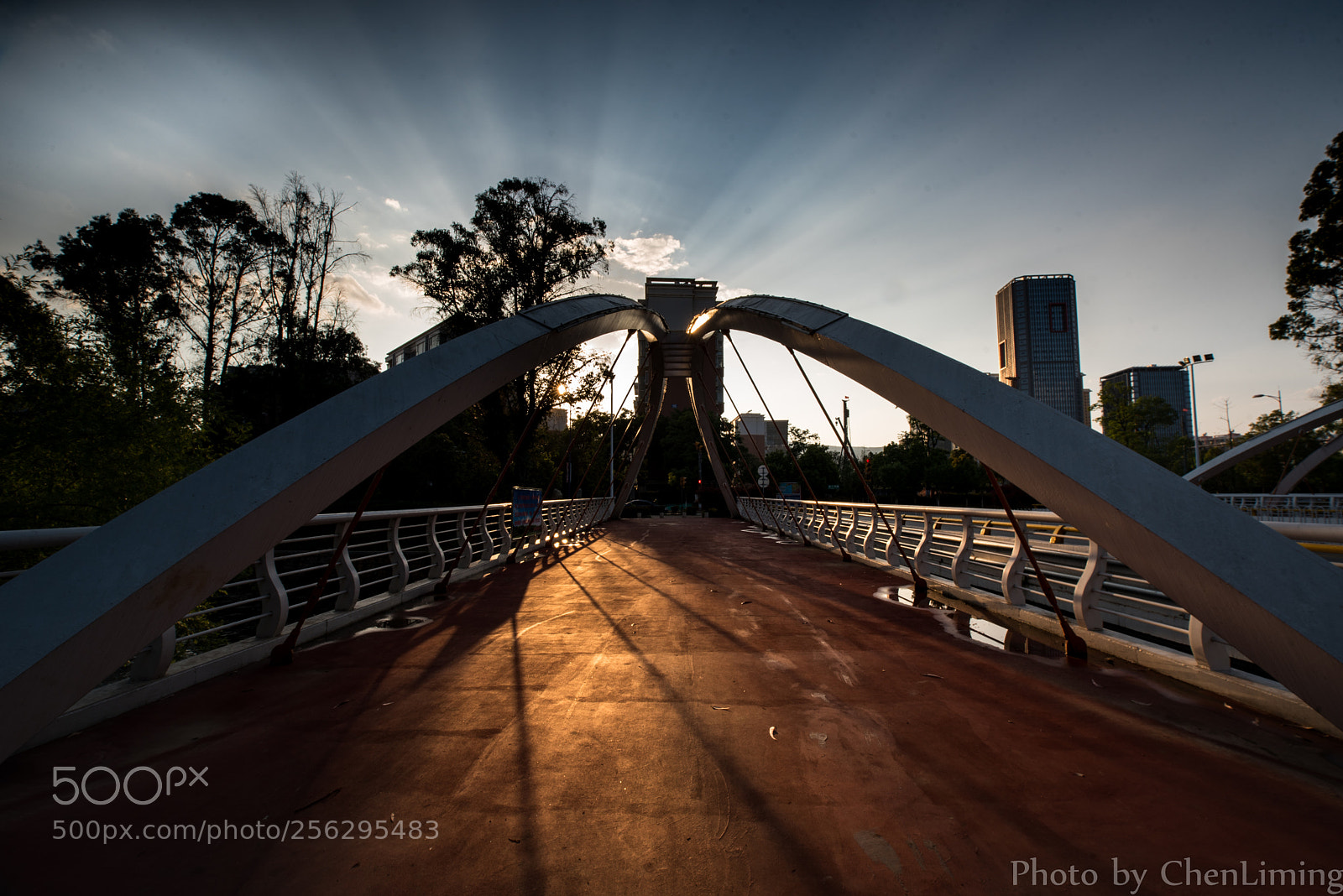 Nikon D750 sample photo. Bridge photography