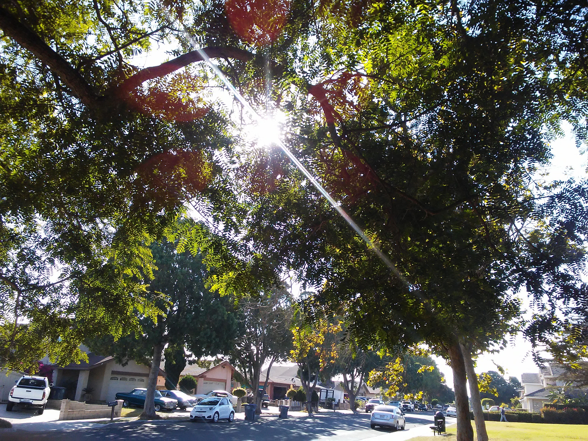 LG K10 sample photo