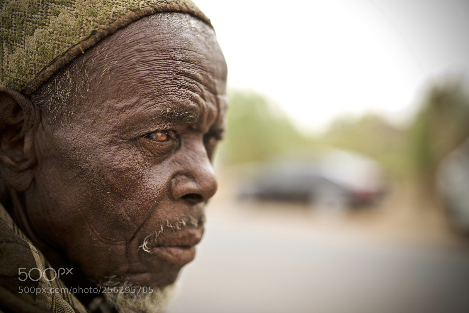 Canon EOS 5D Mark IV sample photo. Untitled photography