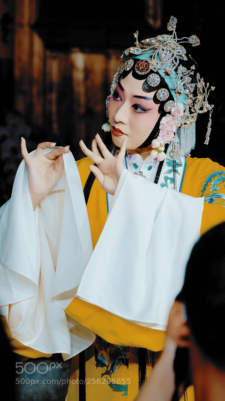 Fujifilm X-T2 sample photo. 撩
挑
味
韵
承 photography