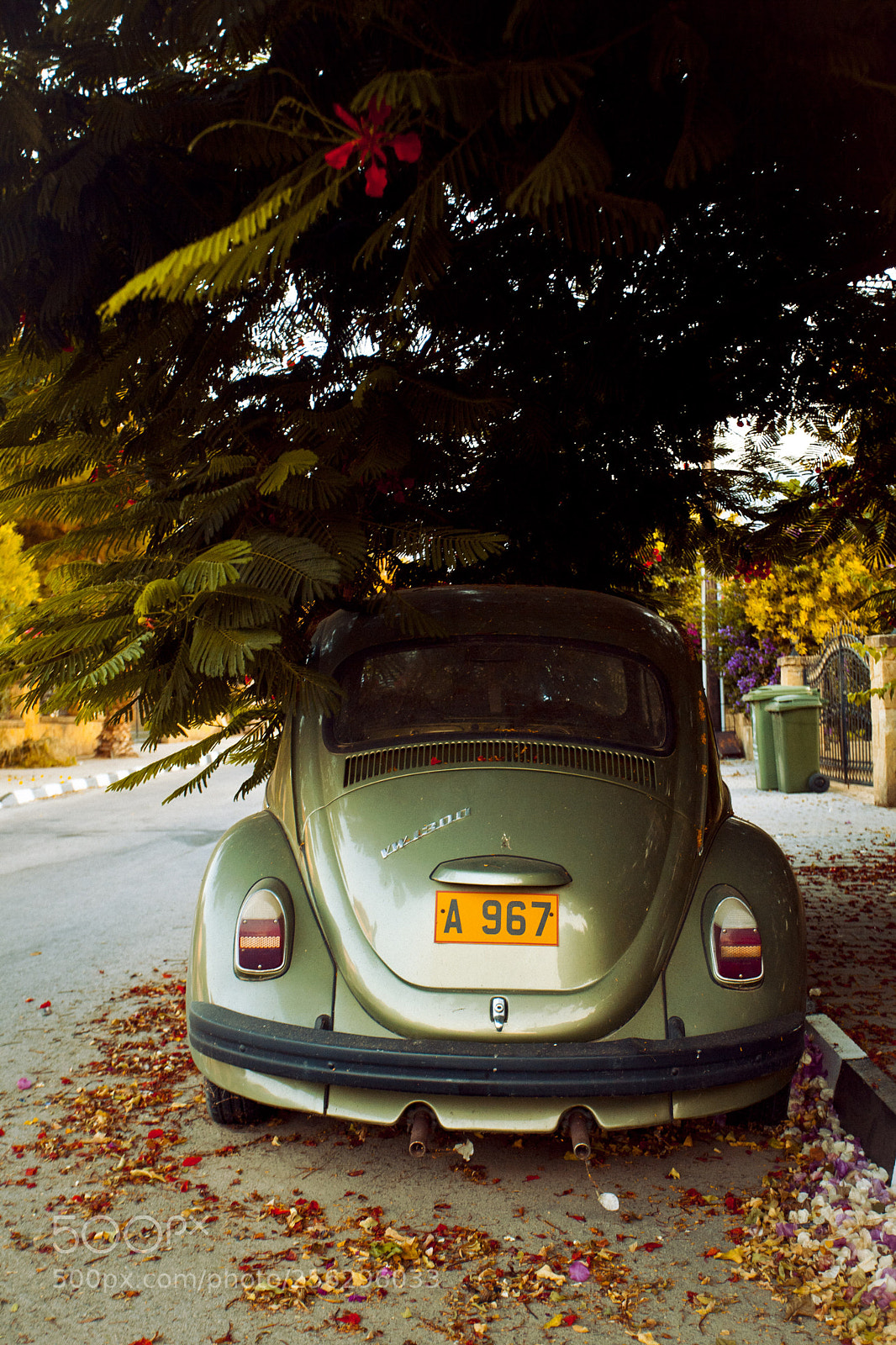 Canon EOS 5D Mark II sample photo. Journey photography