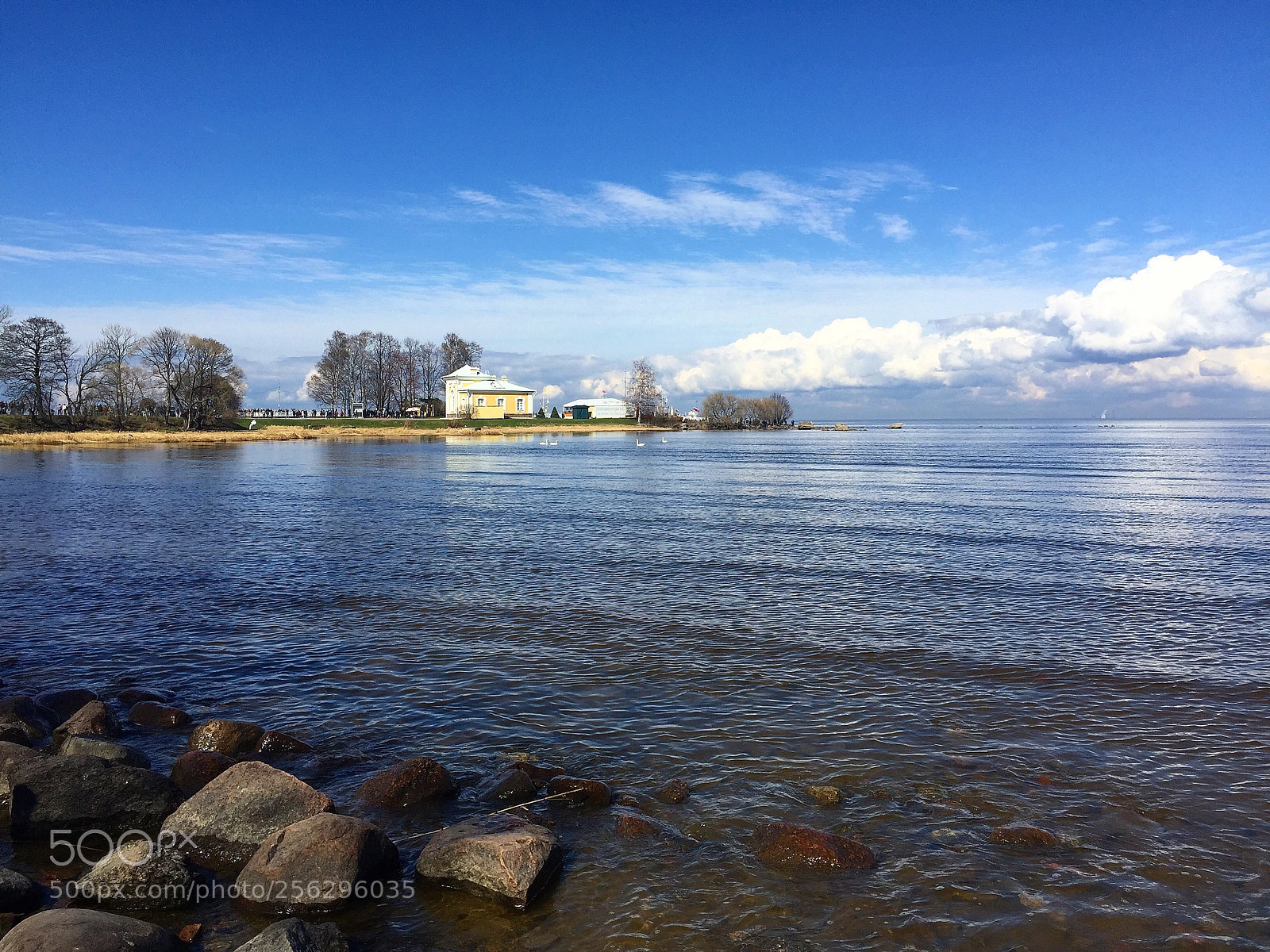 Apple iPhone 6 Plus sample photo. Peterhof state museum-reserve photography