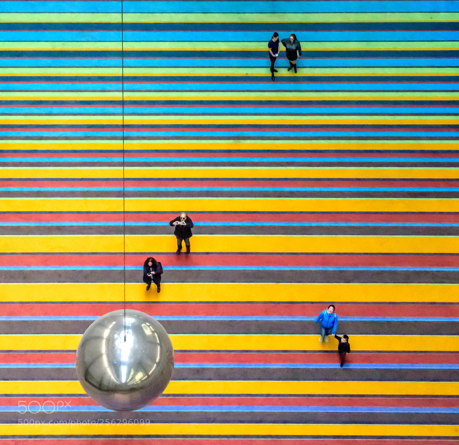 Nikon D500 sample photo. Looking down photography