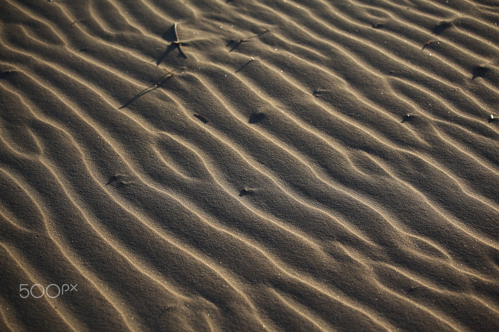 Canon EOS 5D Mark II + Canon EF 70-200mm F4L IS USM sample photo. The magic of wind modeled sand photography