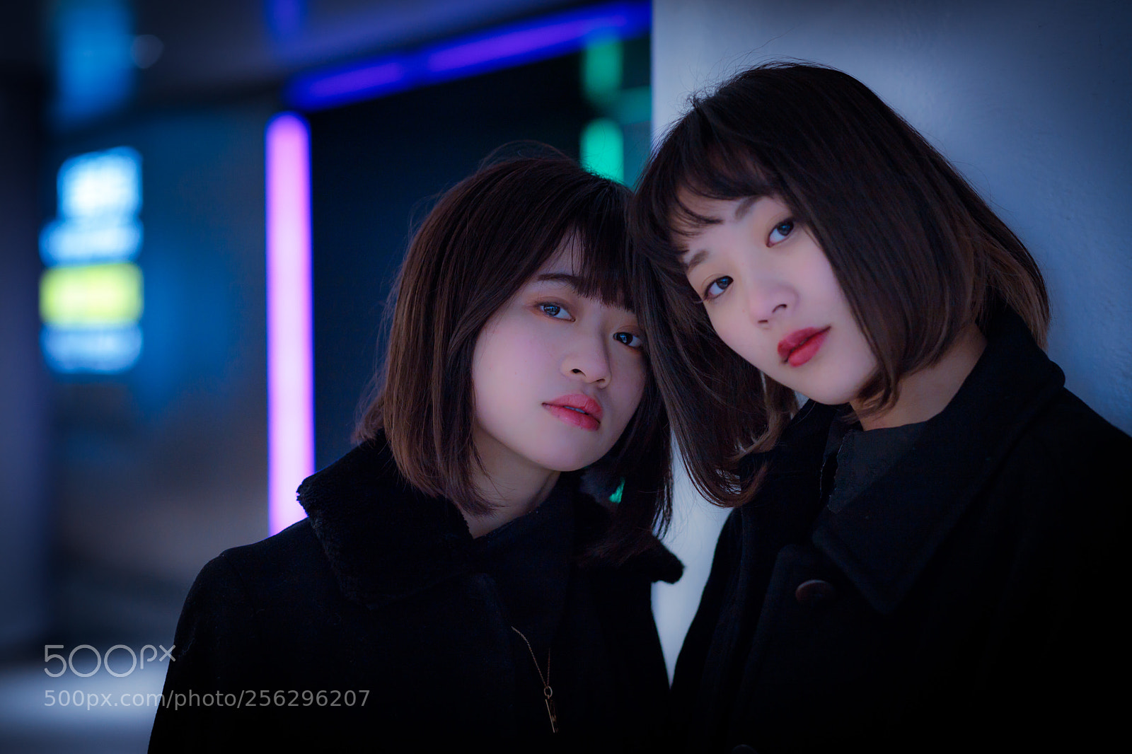 Canon EOS 6D Mark II sample photo. Untitled photography