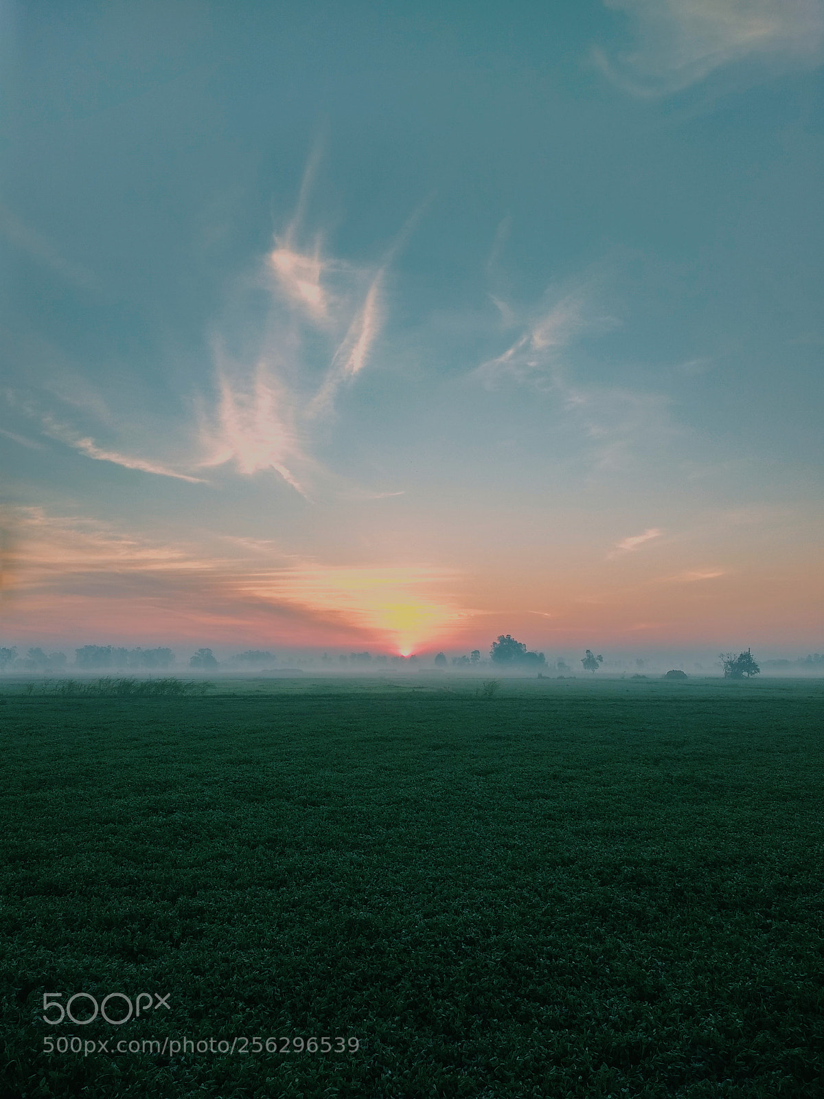 Xiaomi Mi A1 sample photo. Peaceful sunrise photography
