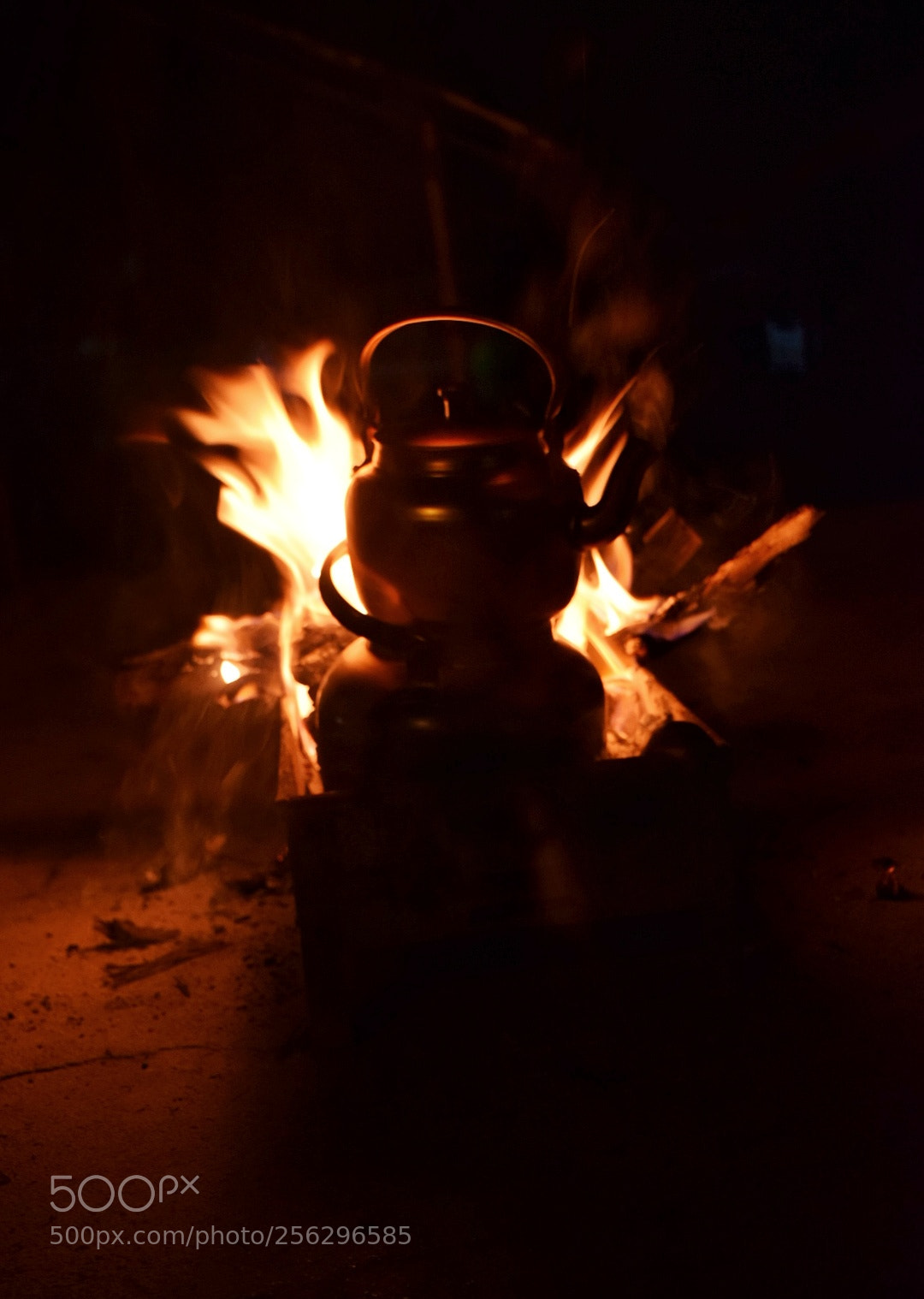 Nikon D5300 sample photo. Untitled photography