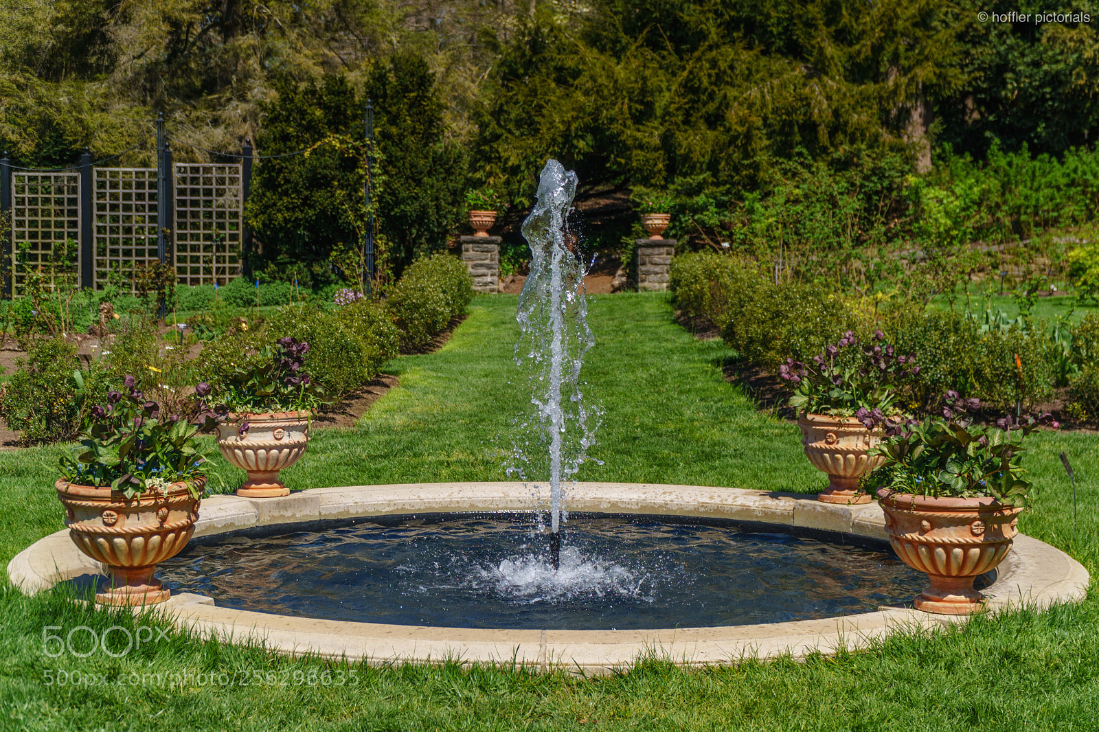 Sony a6300 sample photo. Rose garden fountain photography