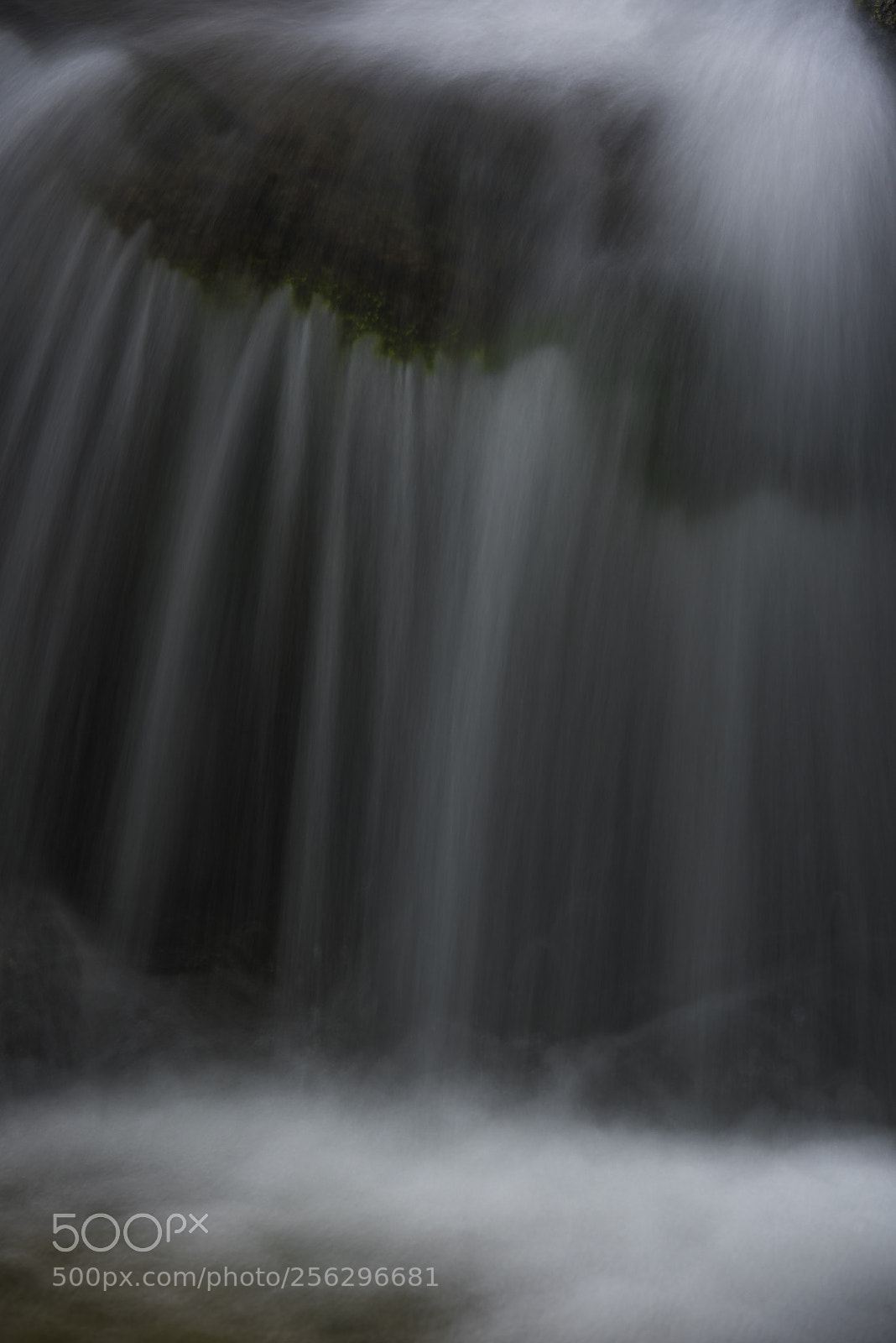 Nikon D750 sample photo. Passing photography
