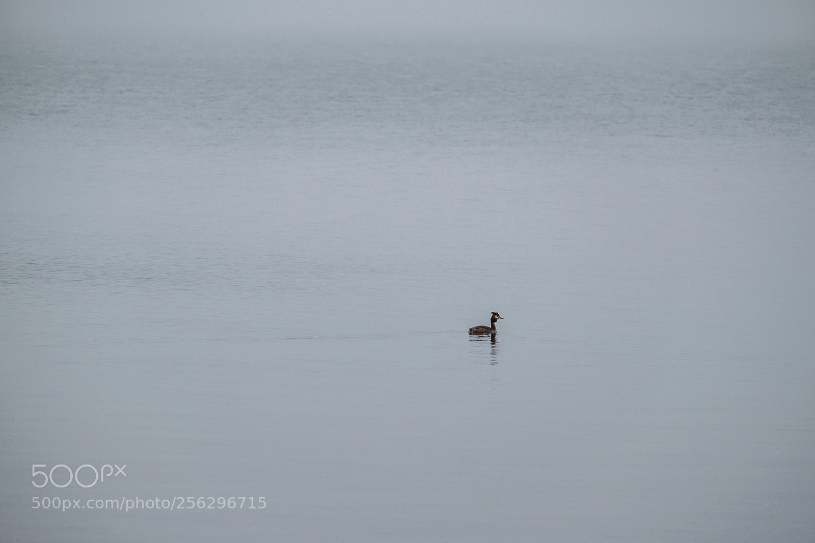 Fujifilm X-T10 sample photo. Ammersee maerz 2018 photography