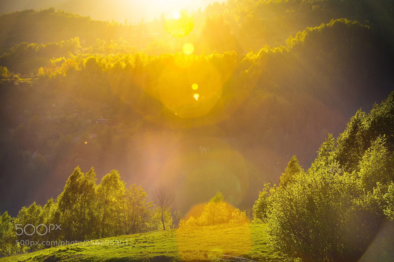 Canon EOS 5D Mark II sample photo. Spring sunset landscape with photography