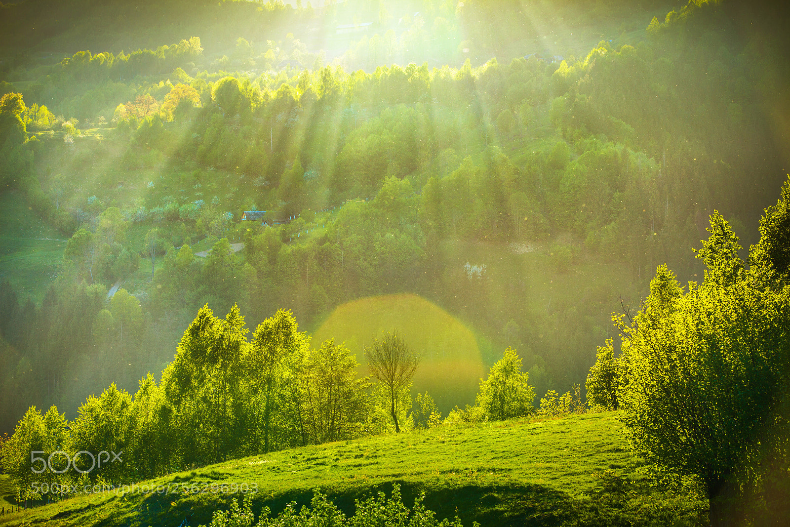 Canon EOS 5D Mark II sample photo. Spring landscape with sunrays photography