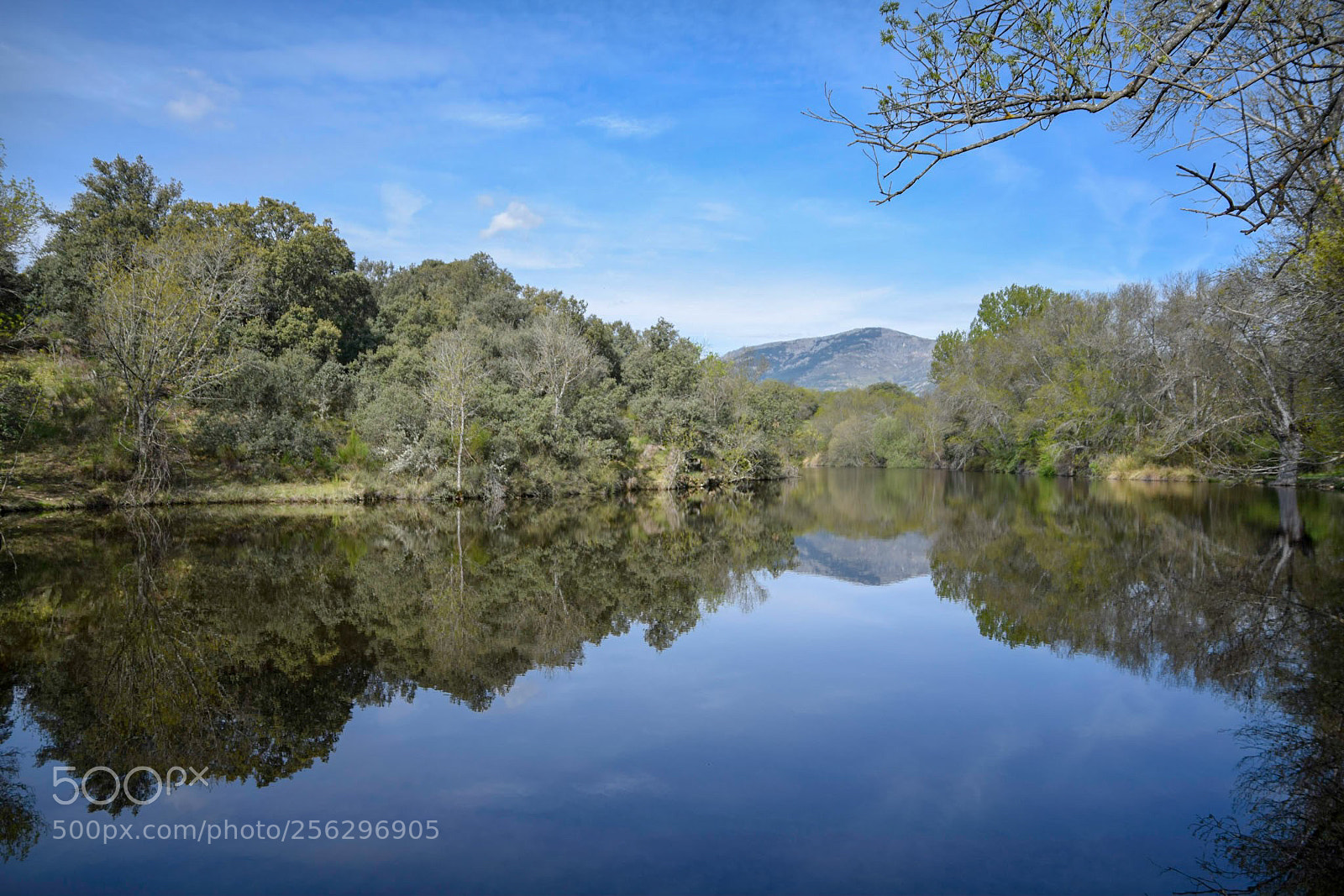 Nikon D3300 sample photo. Another little lake photography