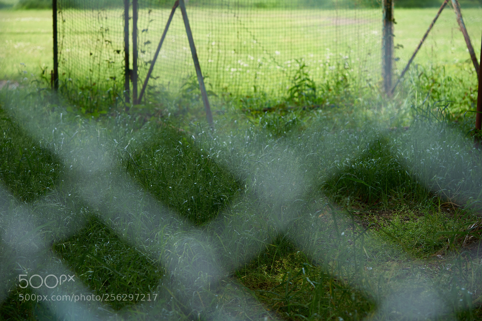 Sony a7 sample photo. Street 305 photography