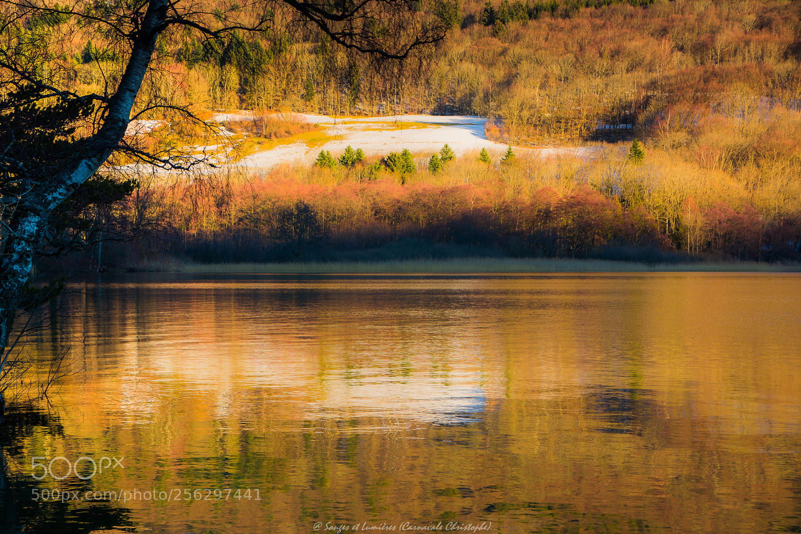 Nikon D7100 sample photo. Canada dans les alpes photography