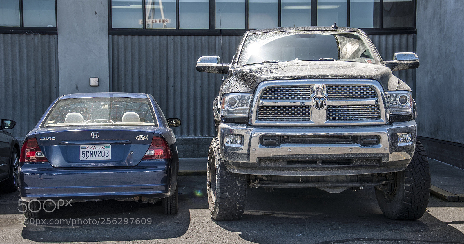 Nikon D90 sample photo. Monster  photography