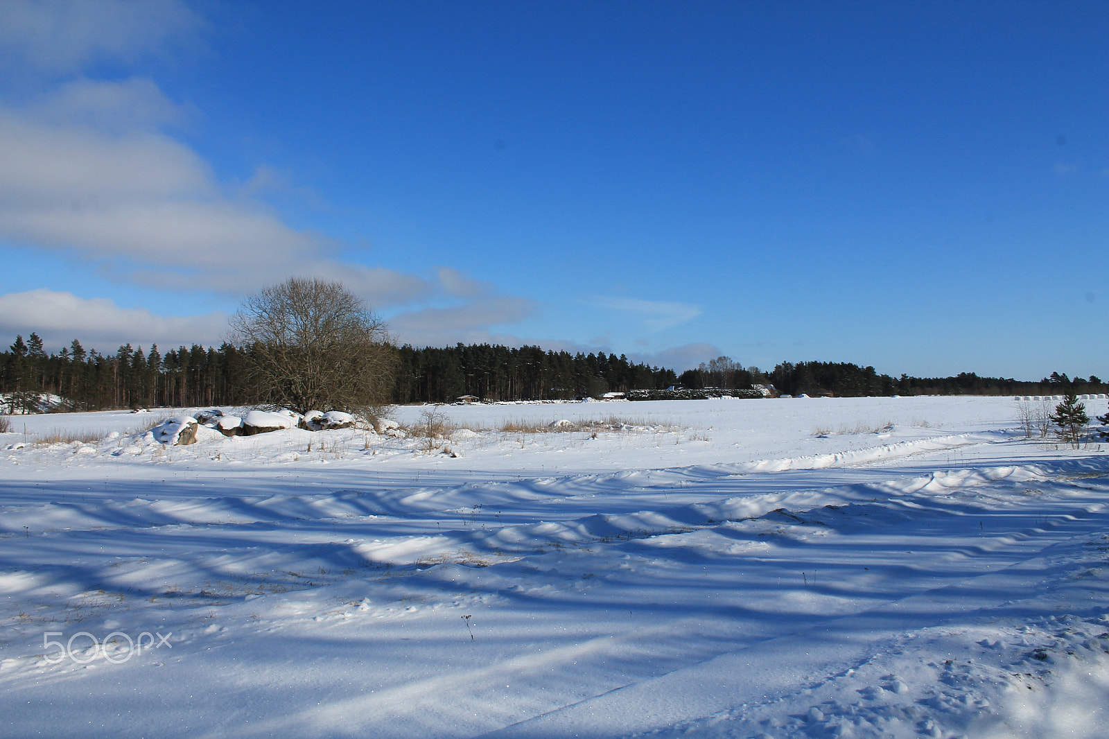 Canon EF-S 18-55mm F3.5-5.6 II sample photo. Clear sky in winter photography