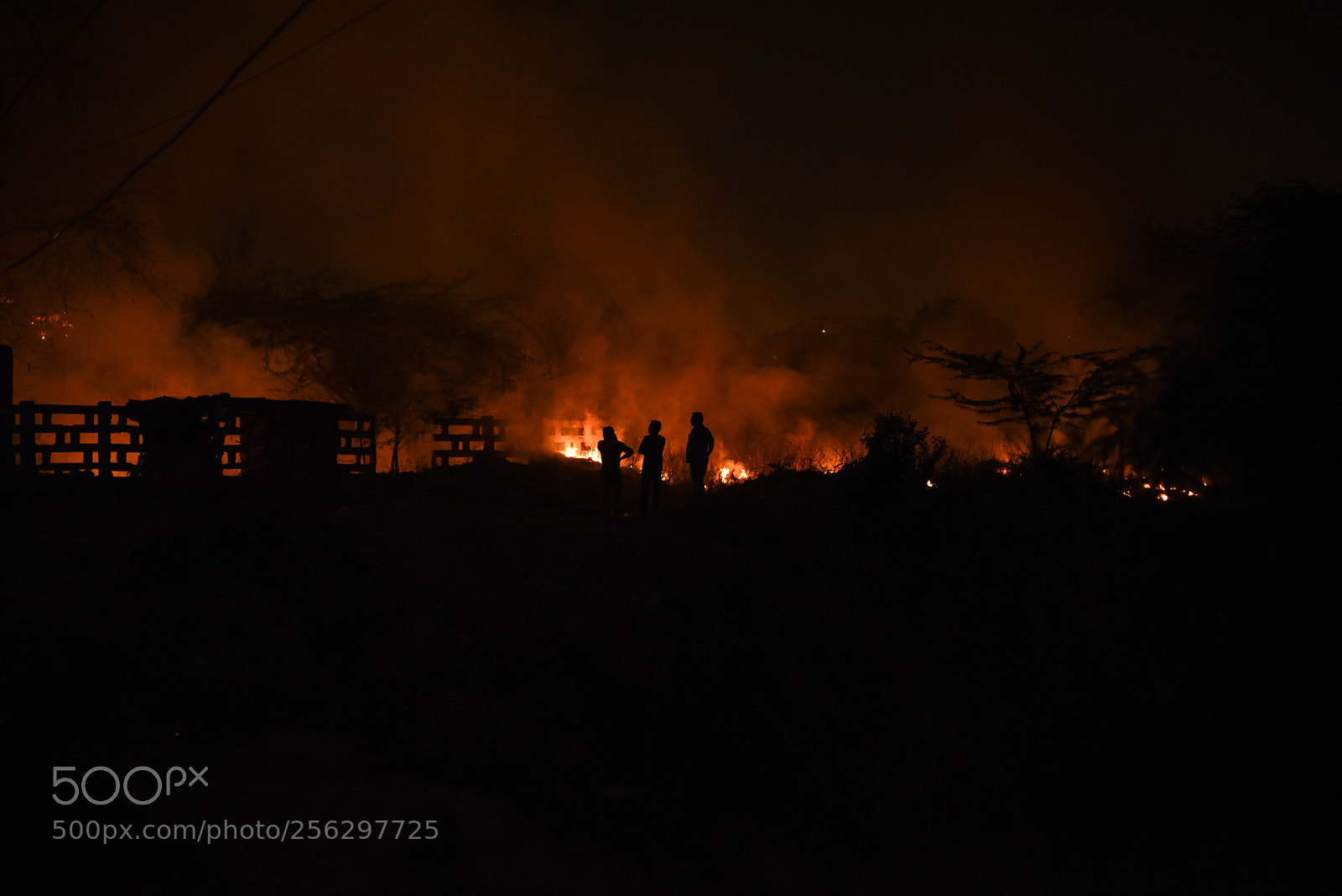 Nikon D750 sample photo. Fire in delhi photography