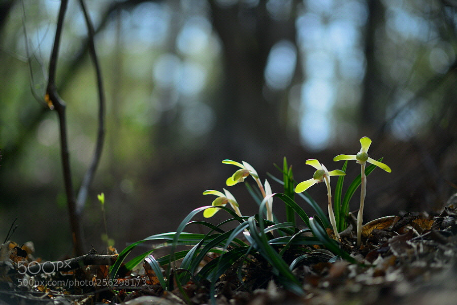 Nikon D800 sample photo. Beautiful moment in my photography