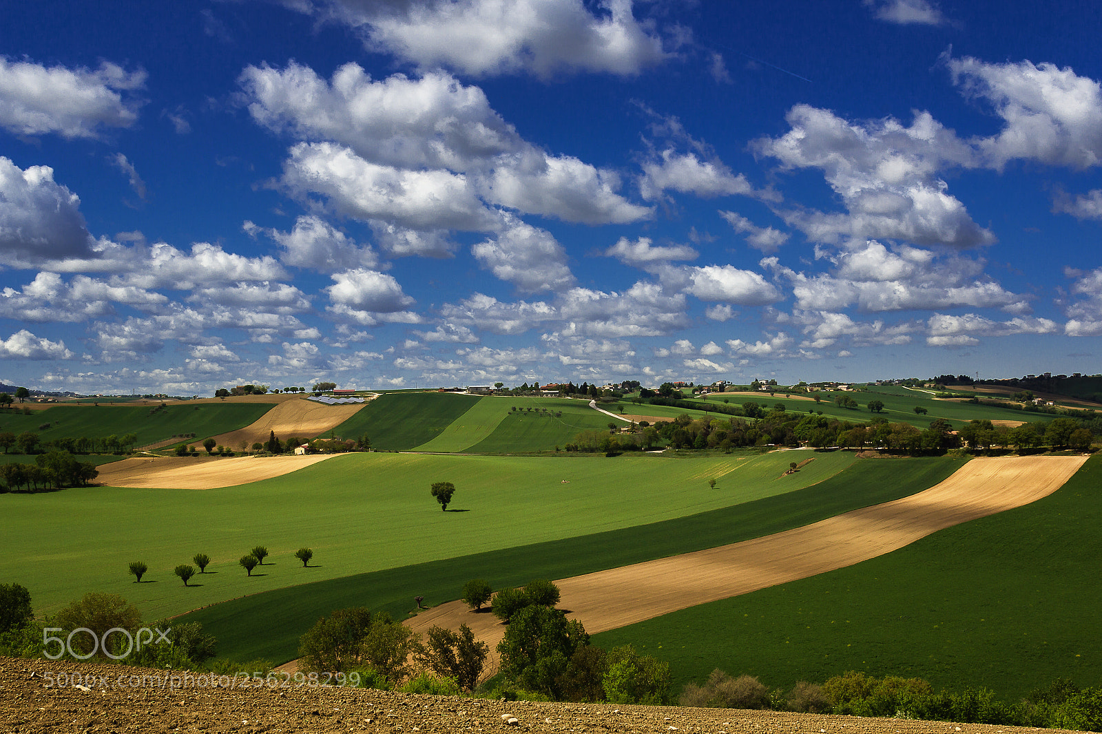 Canon EOS 60D sample photo. Countryside color's palette photography