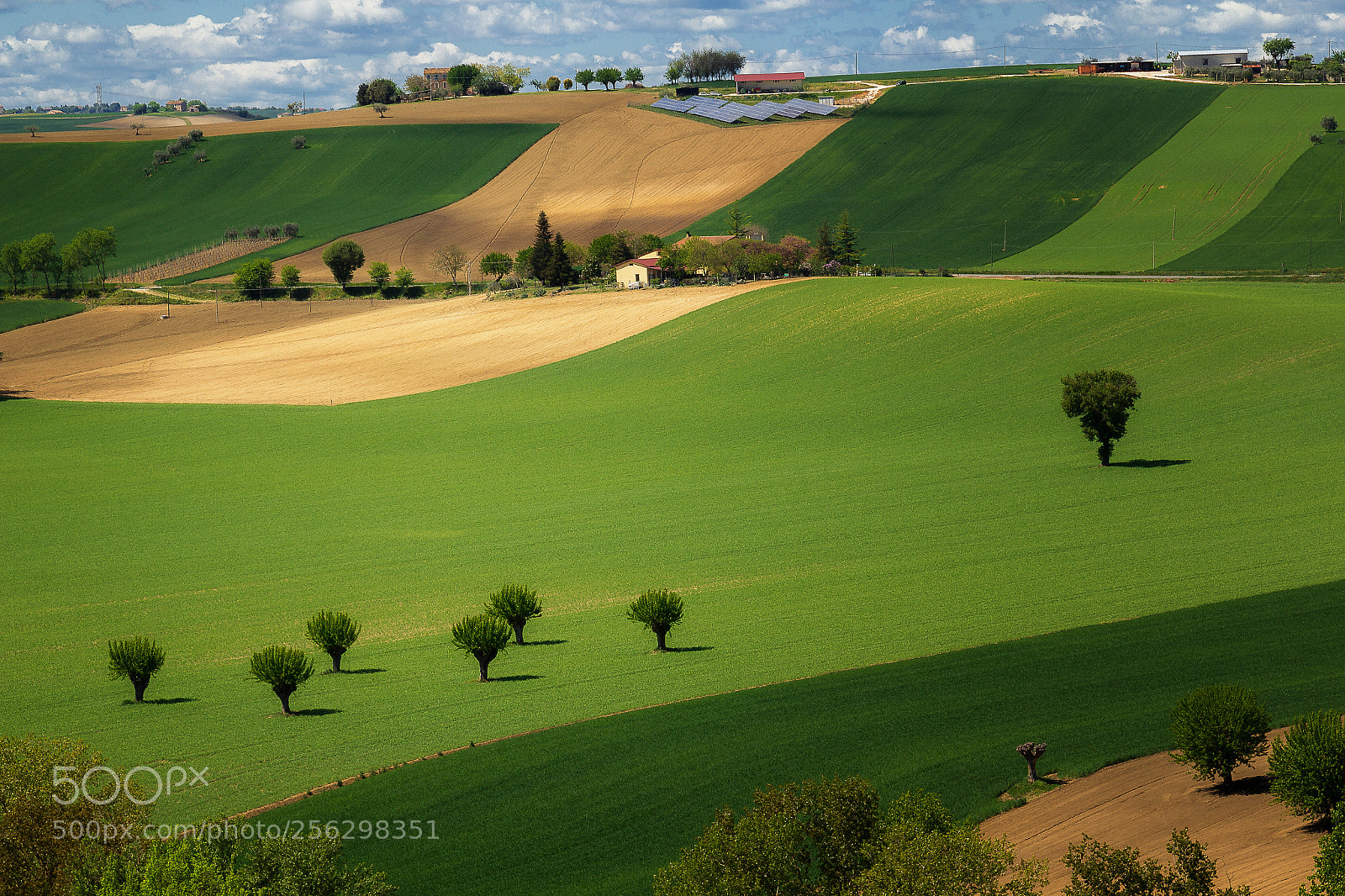 Canon EOS 60D sample photo. Countryside color's palette photography