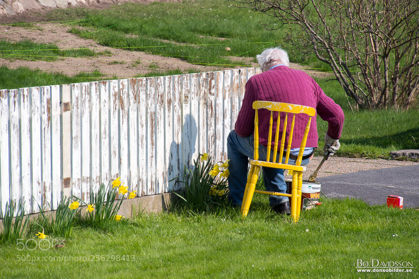 Olympus OM-D E-M5 sample photo. Painting fence panels photography