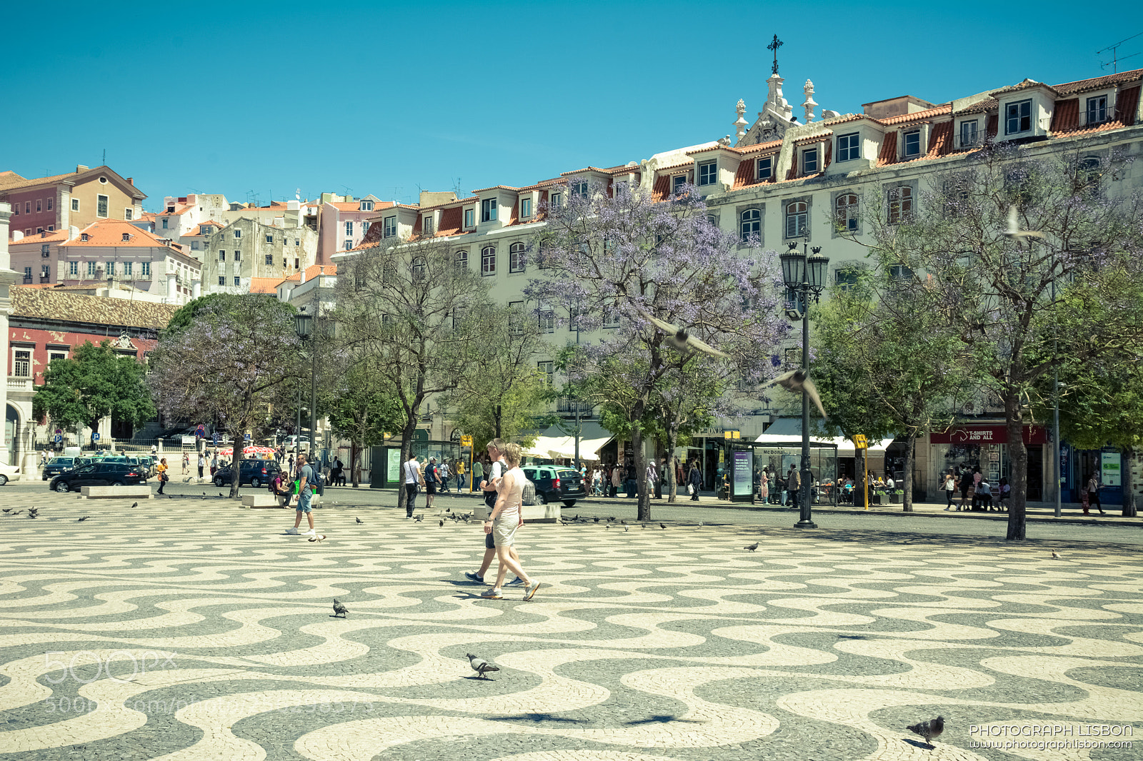 Nikon D7100 sample photo. Rossio, birds, colours, people photography