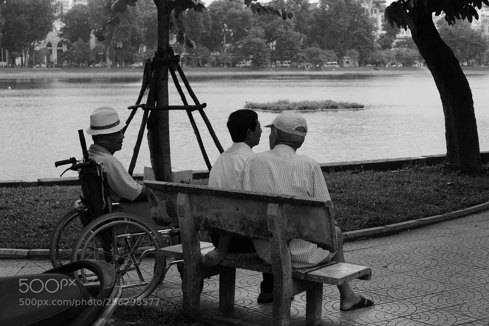 Panasonic Lumix DMC-LX100 sample photo. Old friends photography