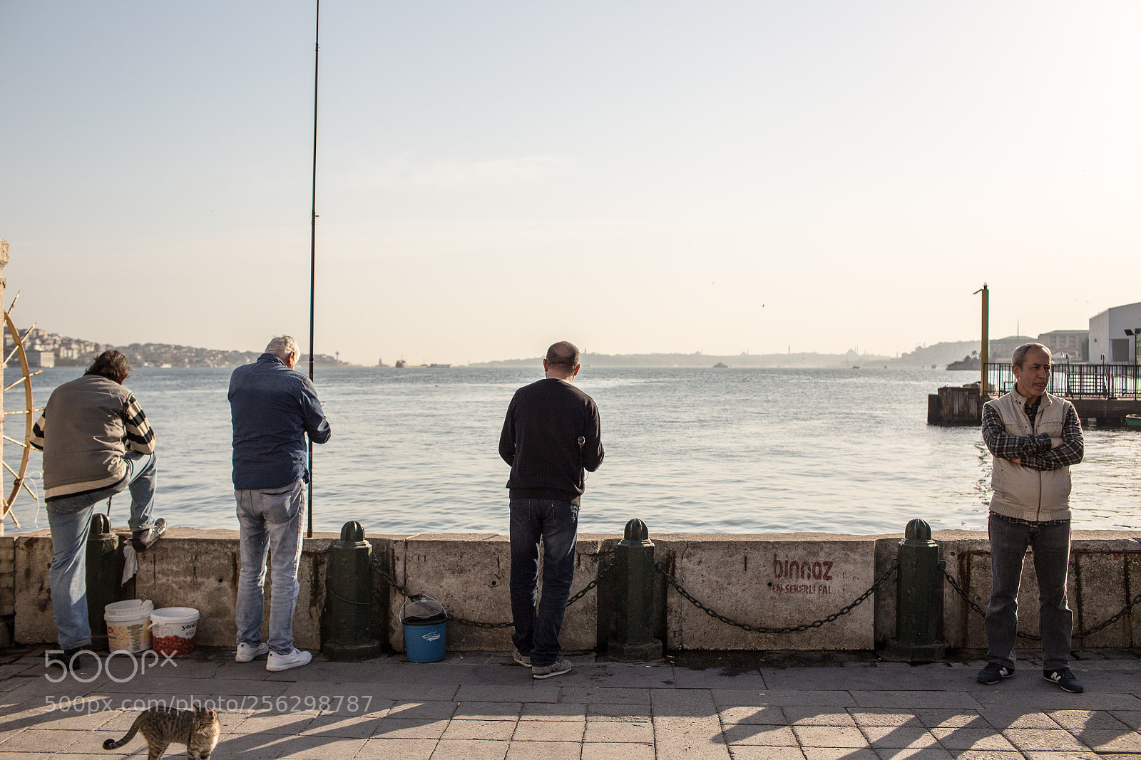 Canon EOS 6D sample photo. Sulk photography