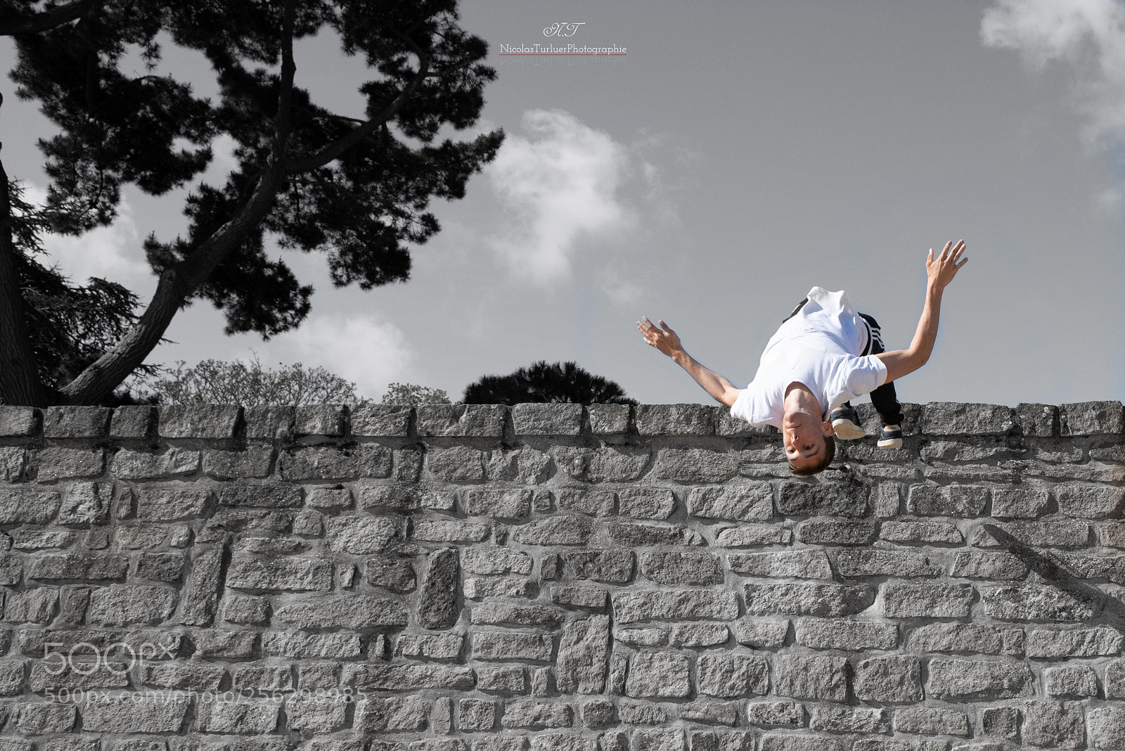 Nikon D750 sample photo. Ntphotographie () photography