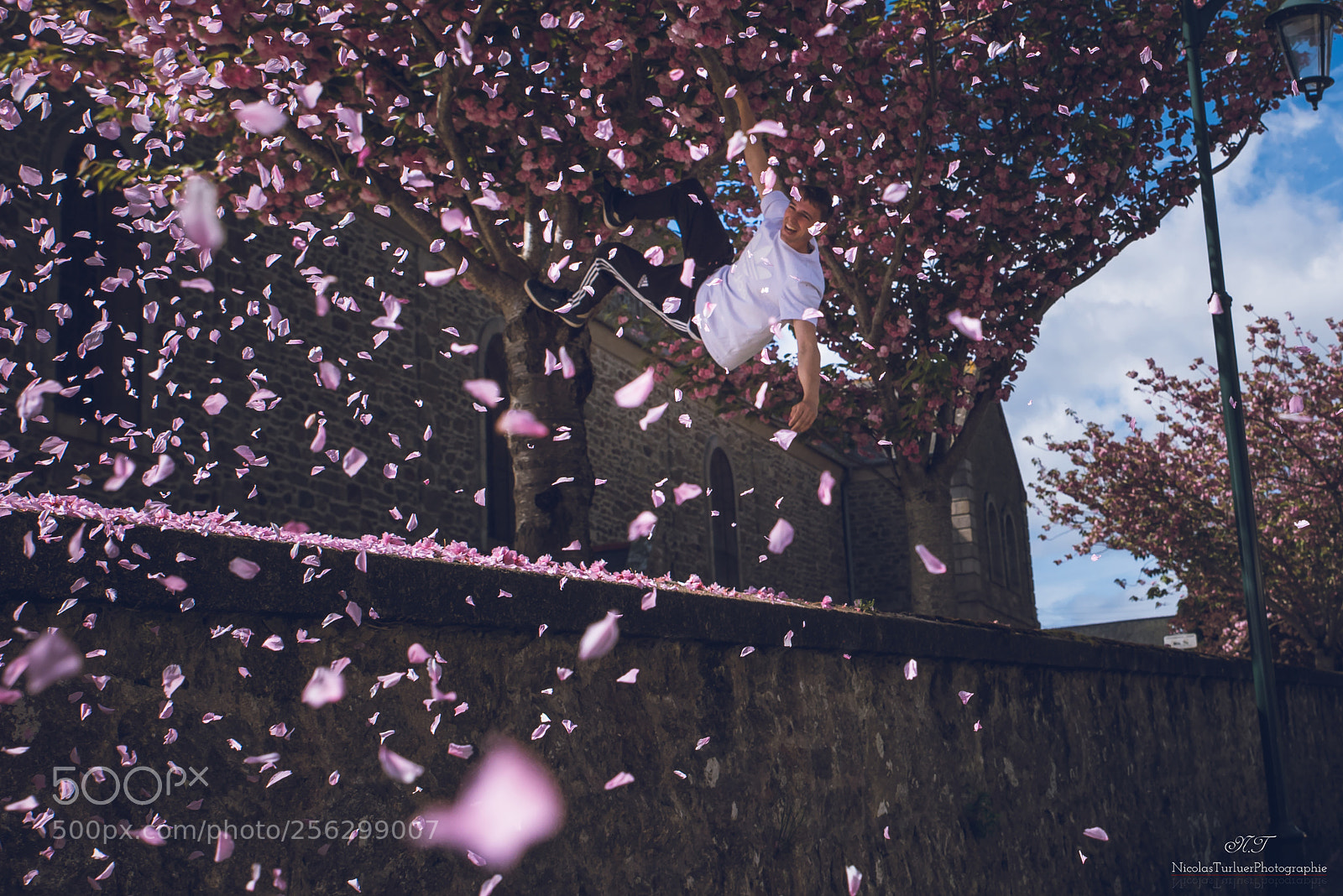 Nikon D750 sample photo. Ntphotographie () photography