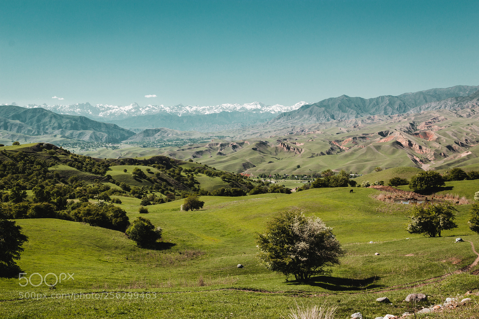 Canon EOS 600D (Rebel EOS T3i / EOS Kiss X5) sample photo. Jalal-abad region photography