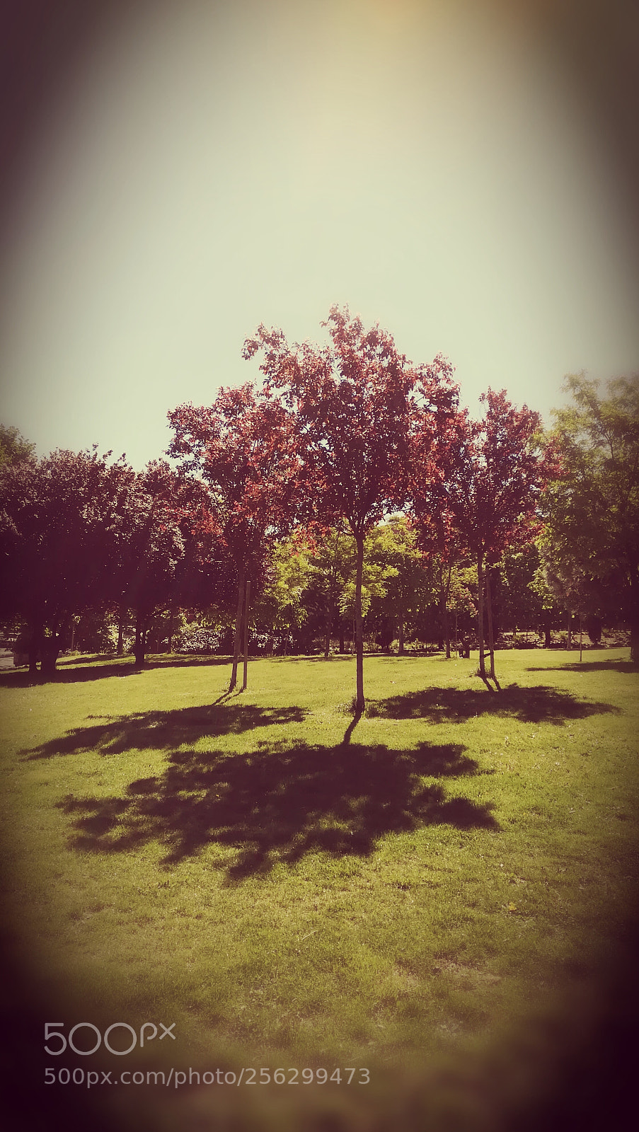 HUAWEI PRA-LX1 sample photo. Nostalgia photography