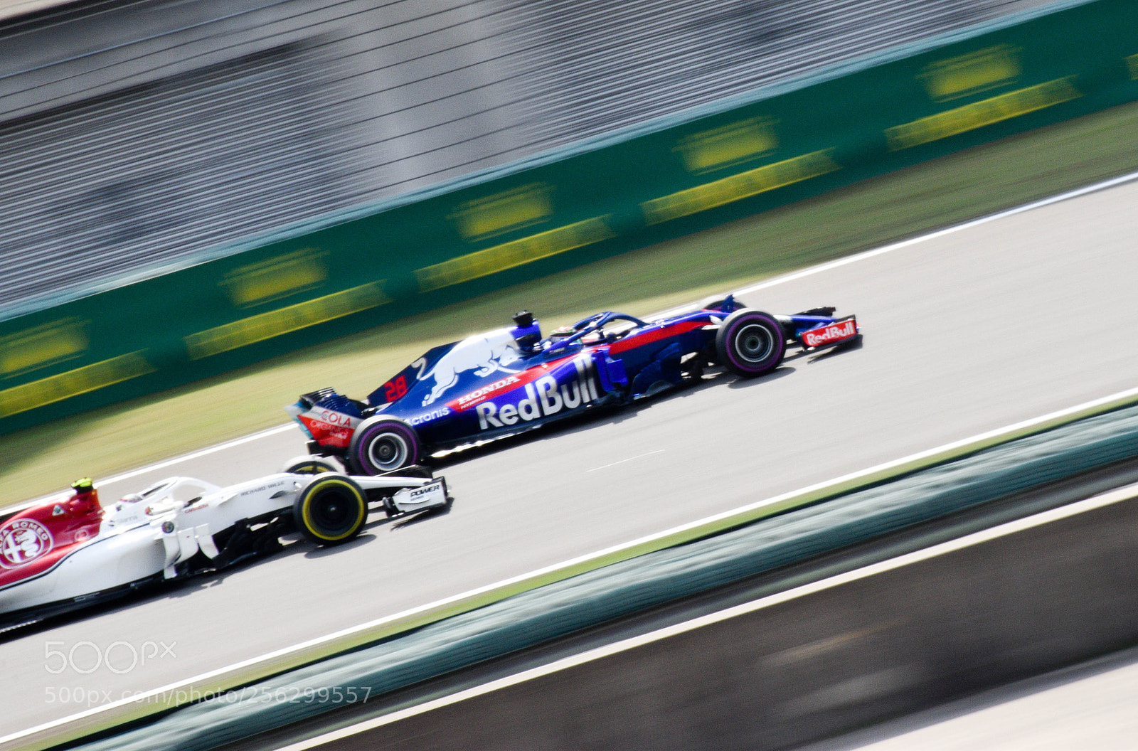 Nikon D5600 sample photo. F1 photography