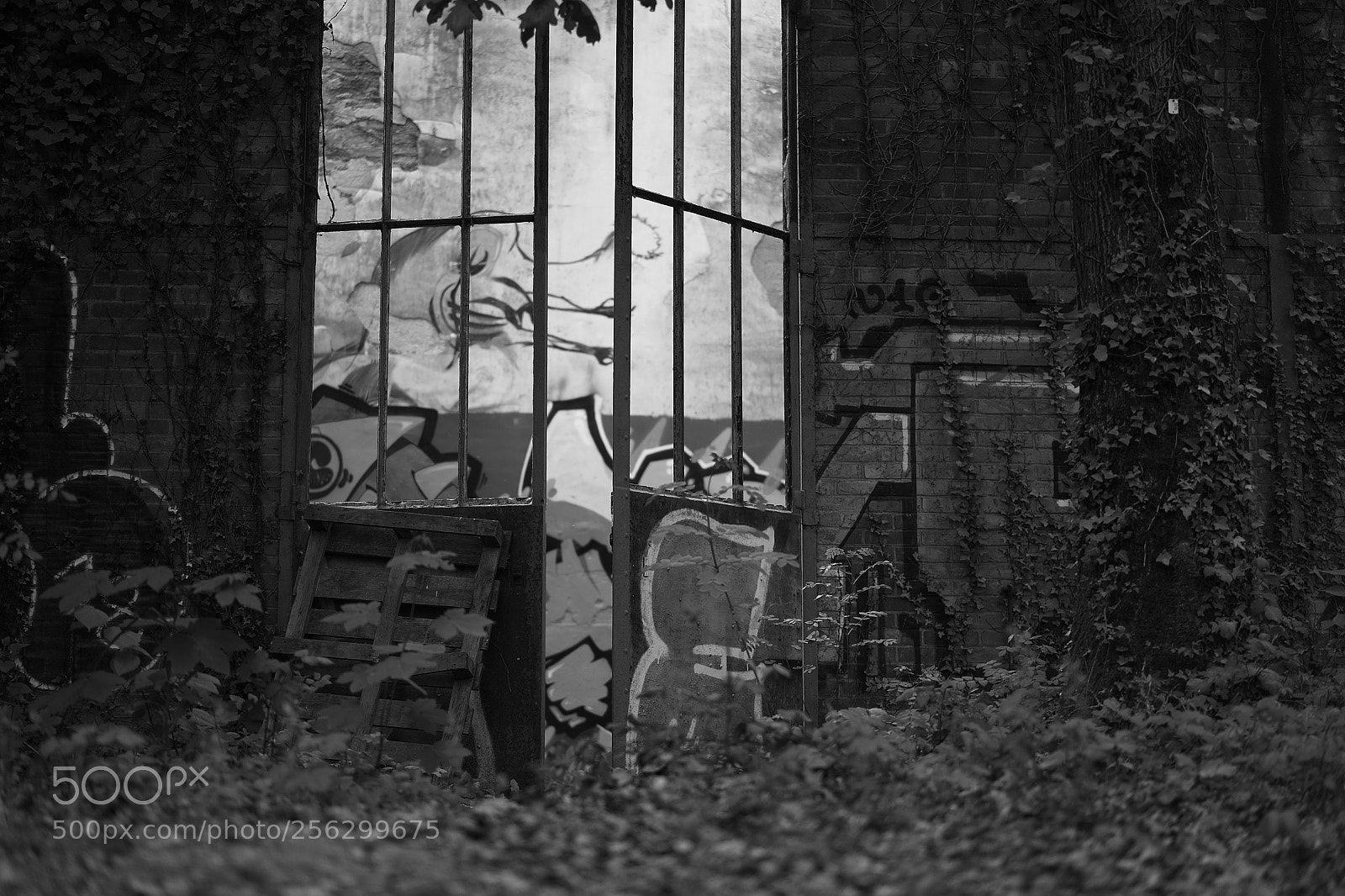Sony a7 sample photo. Lost warehouse photography