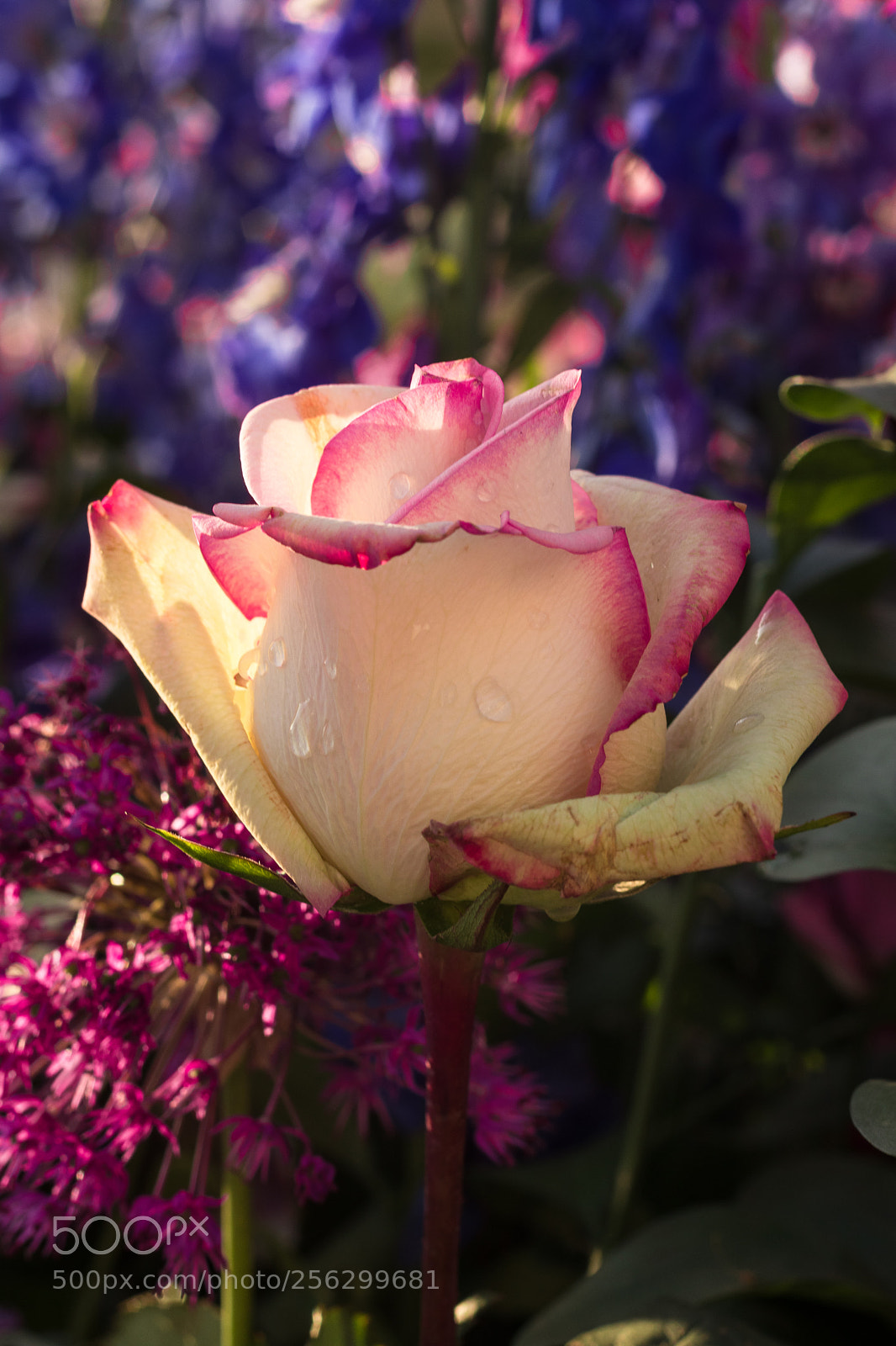 Canon EOS M5 sample photo. Img photography