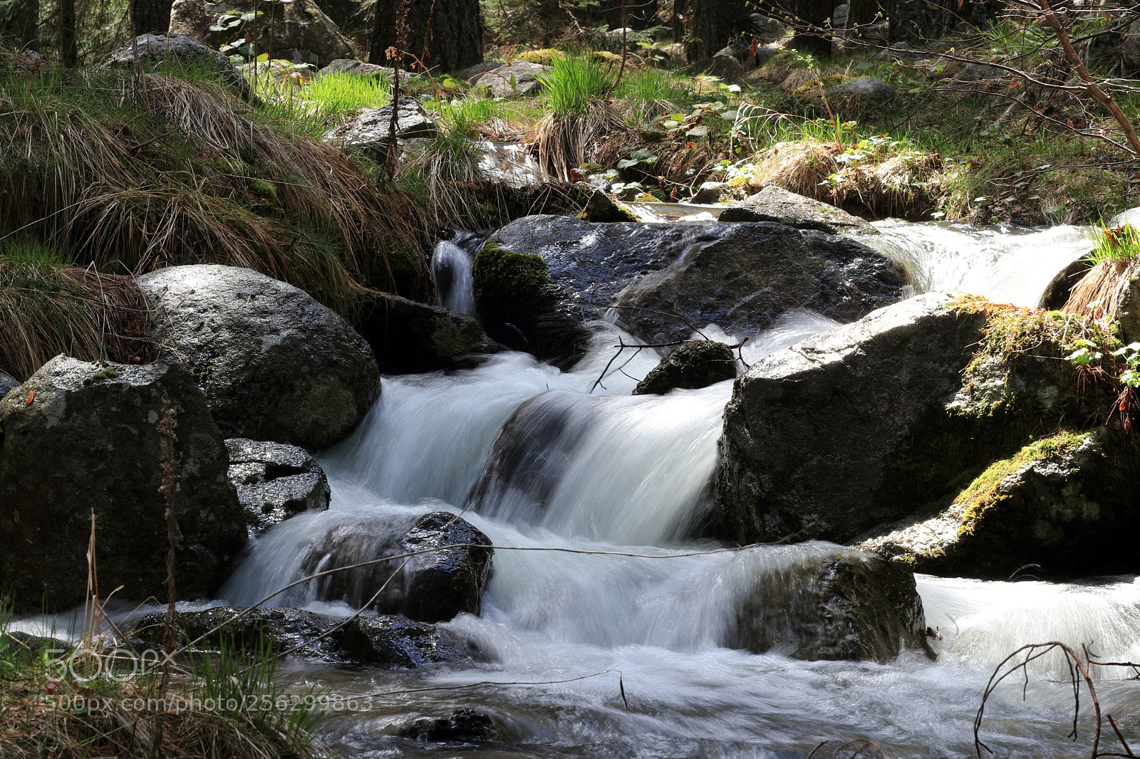 Canon EOS 80D sample photo. Eco-trail "beli iskar" photography