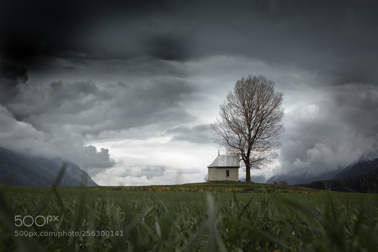 Canon EOS 60D sample photo. Rainy weather photography