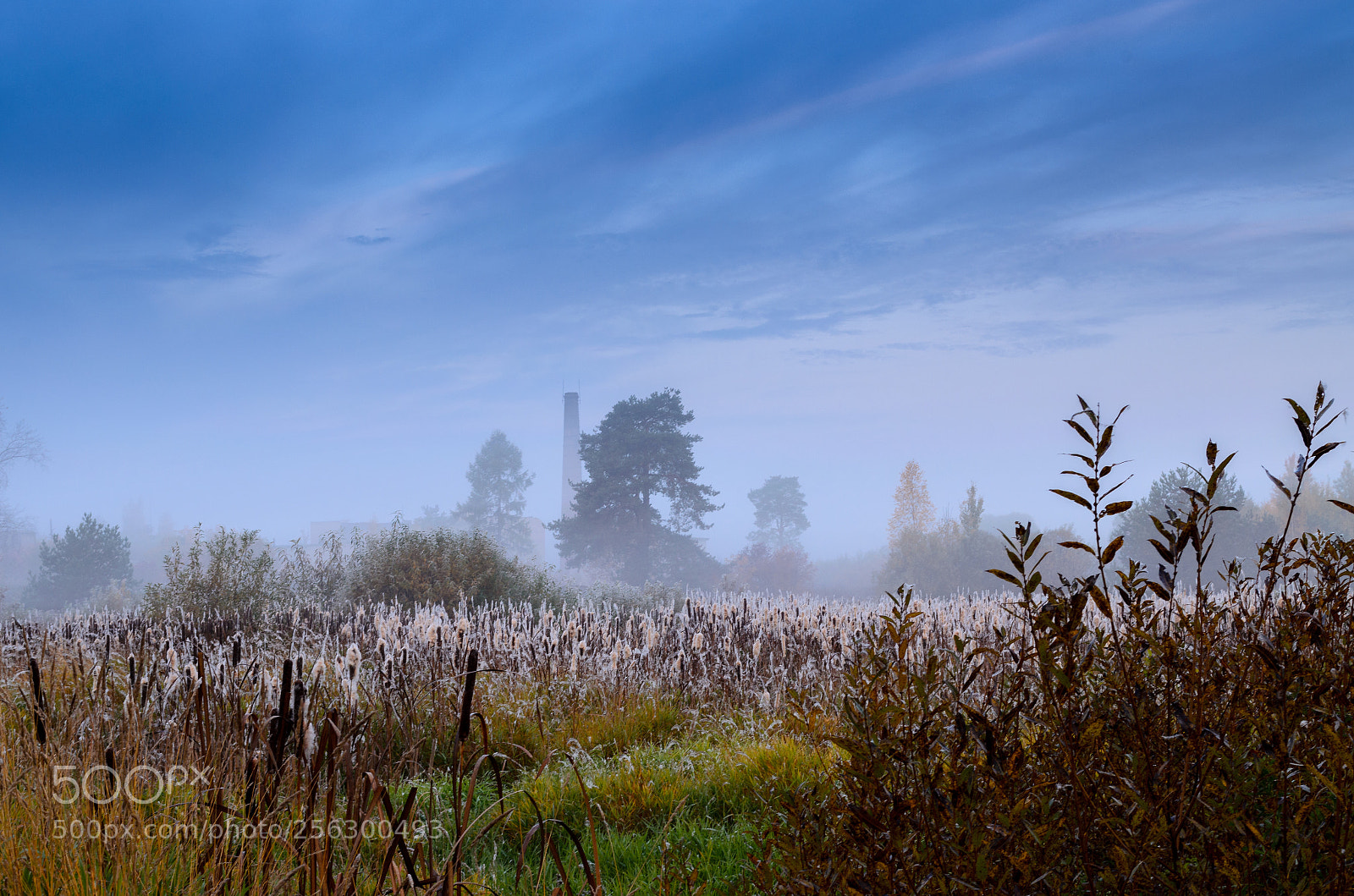 Nikon D5100 sample photo. Foggy photography