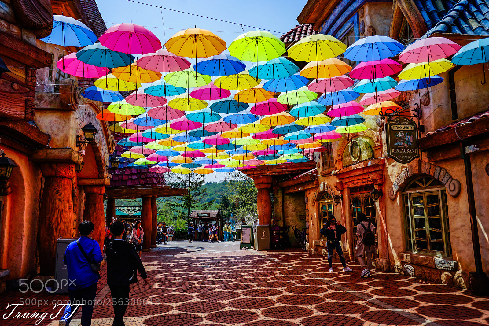 Sony a7 II sample photo. Everland photography